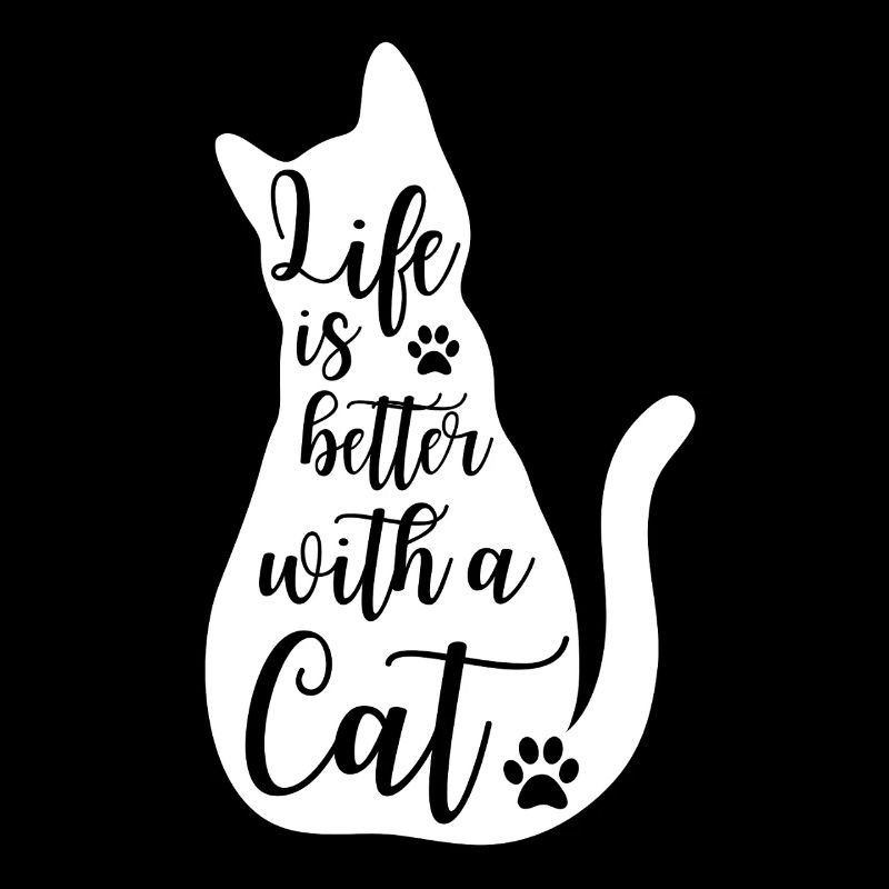 Chats Dire Chat Propriétaire Chaton