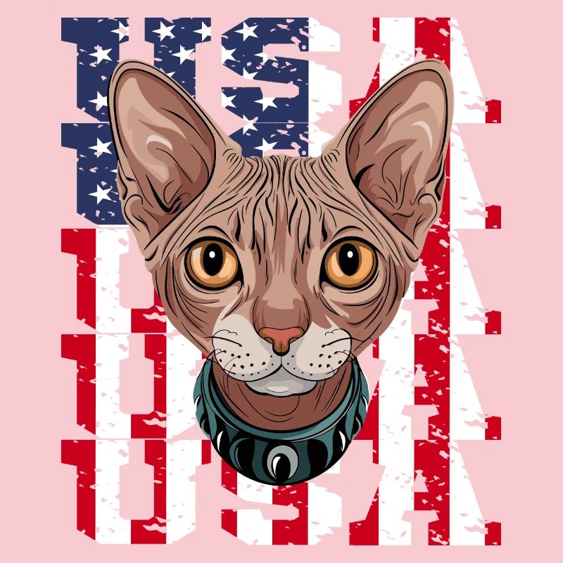 USA Chat Sphynx devant le drapeau