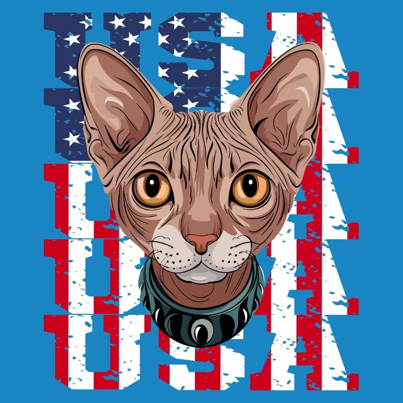 USA Chat Sphynx devant le drapeau
