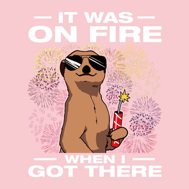 It was on fire: pyrotechnicians, firecrackers, fireworks