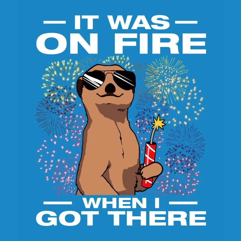 It was on fire: pyrotechnicians, firecrackers, fireworks