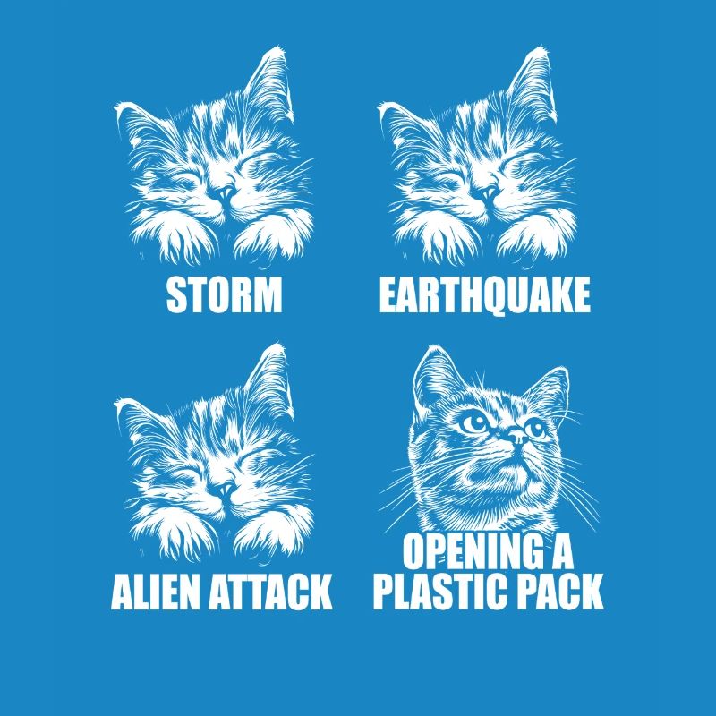 Cat - selective perception - saying