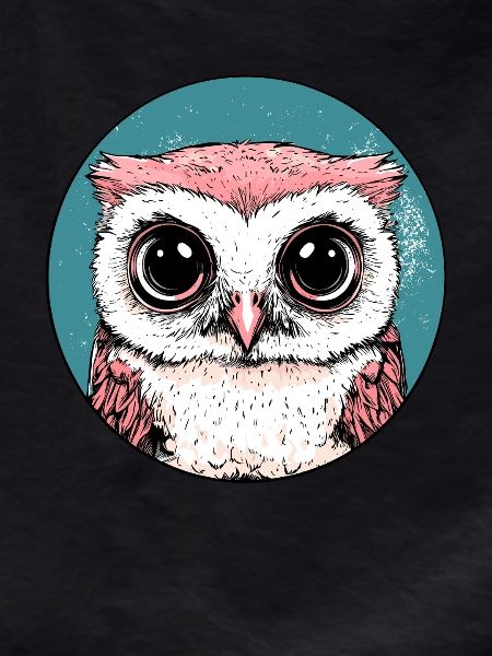 Big Eyes Owl