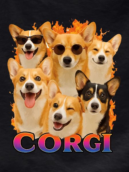 Corgi