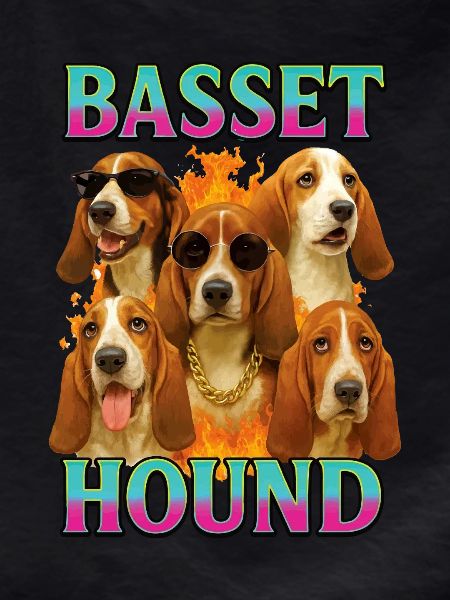 Basset