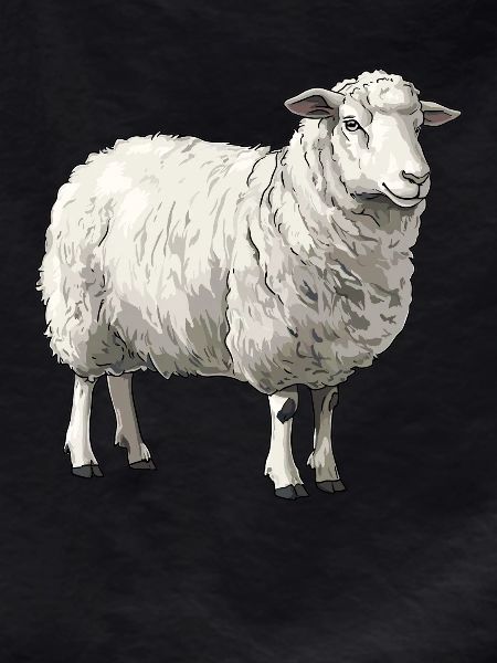 Sheep Sheep