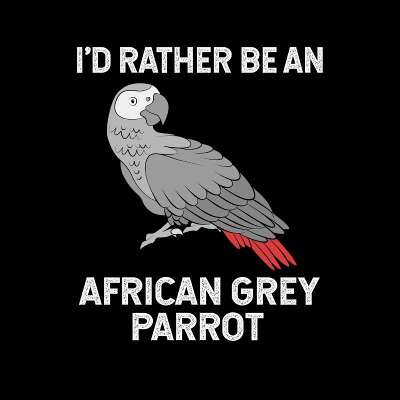 Parrot Gray Gray Parrot