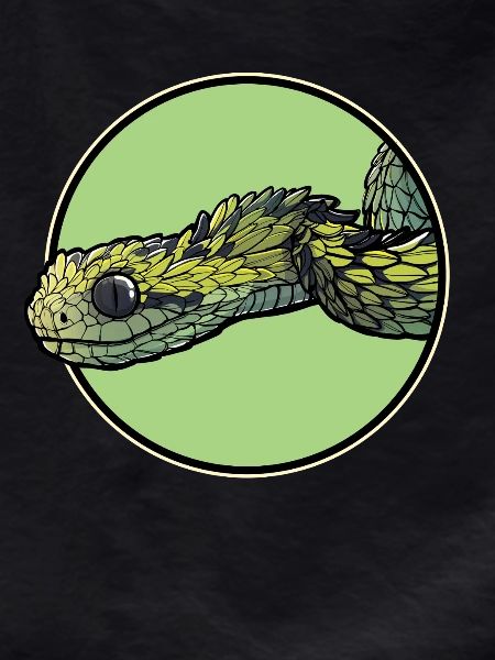 Bush Vipers Bush Viper