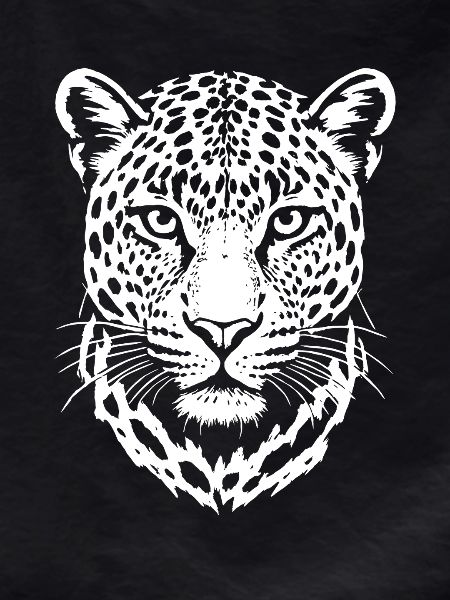 Leopard - Big Cat, Africa