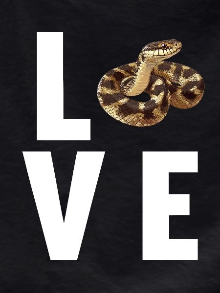 Snakes Snake