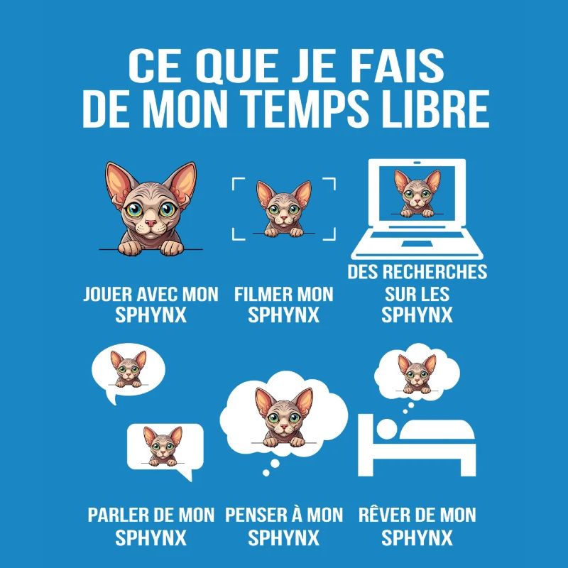 Ce que je fais de mon temps libre – Chat Sphynx