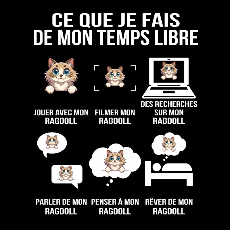 drôle Ragdoll – Ce que je fais de mon temps libre