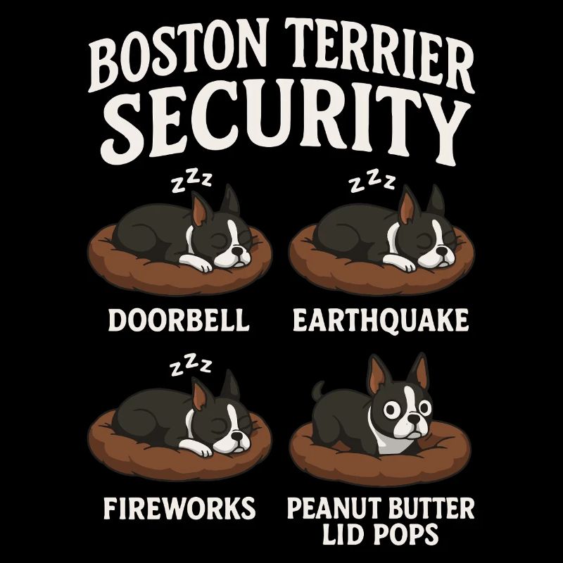 Boston Terrier
