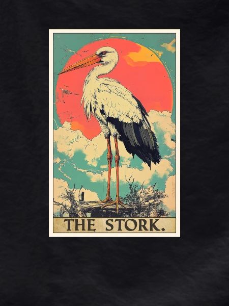 Storks Stork