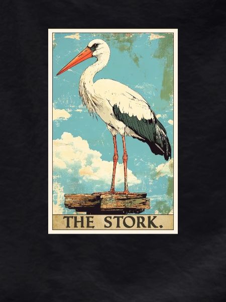 Storks Stork