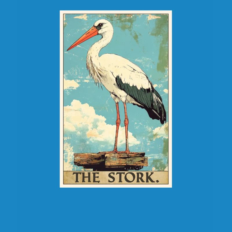 Storks Stork