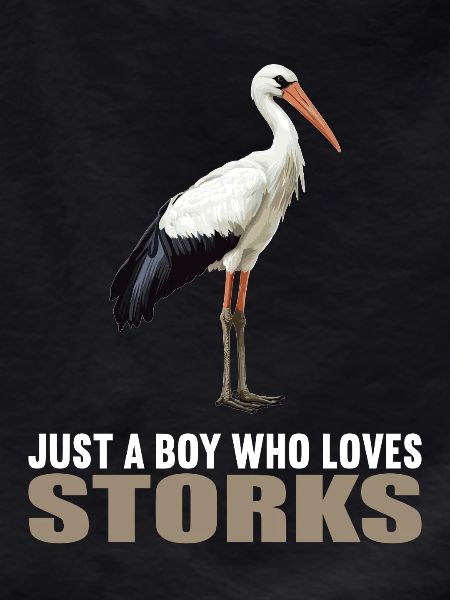 Storks Stork