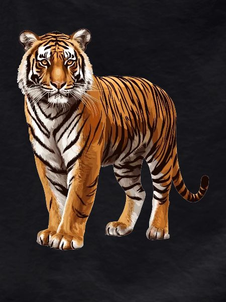 Sumatran tiger