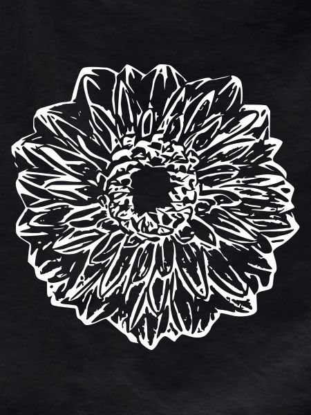 Flower, White, White Flower