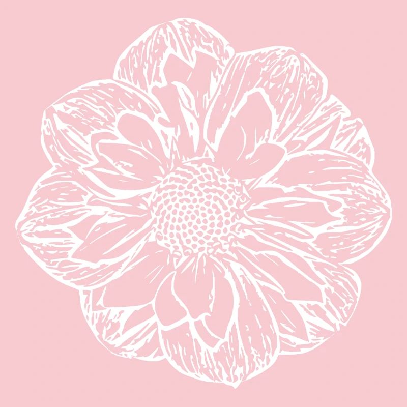 Fleur, Blanc, Fleur Blanche