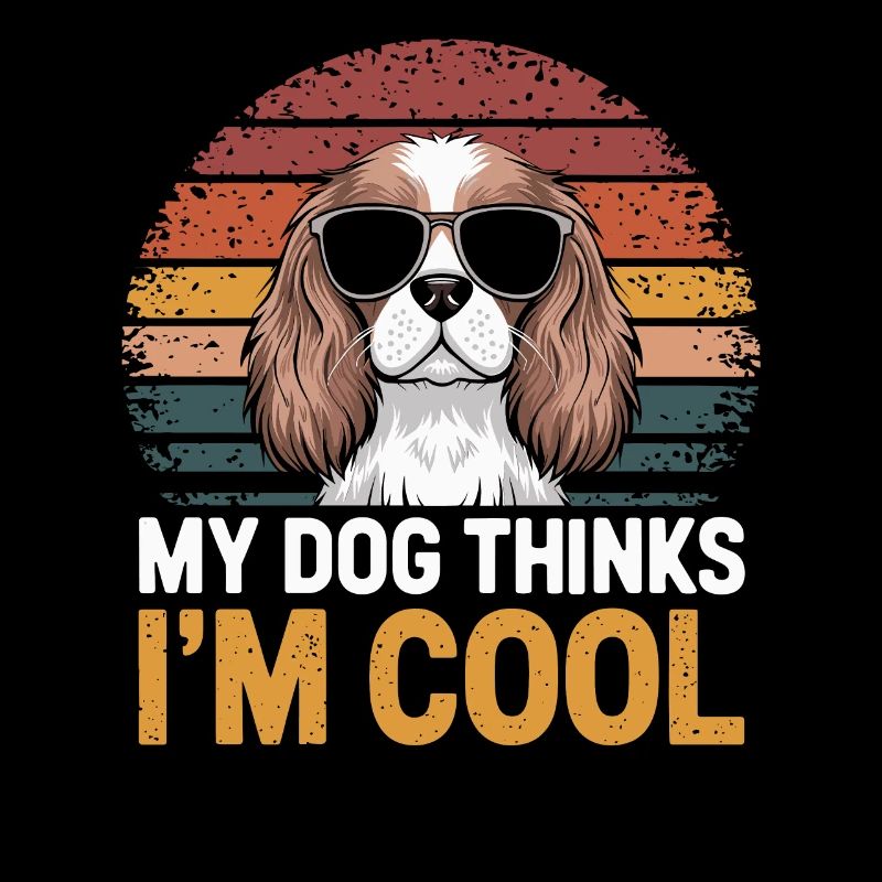 Cavalier Spaniel Mon chien pense que je suis cool
