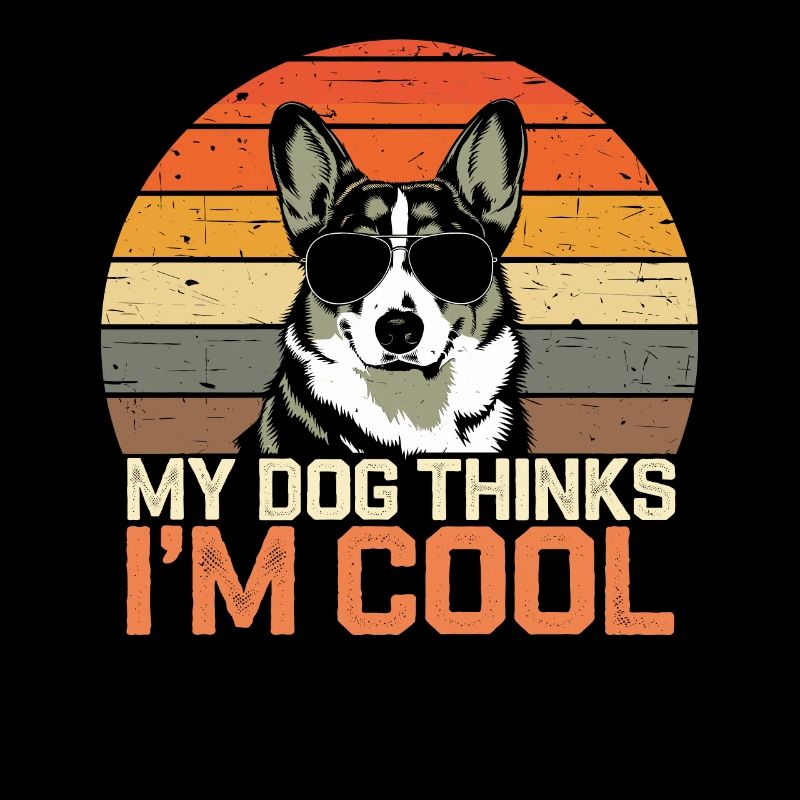 Corgi mon chien pense que je suis cool