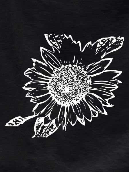 Sunflower white