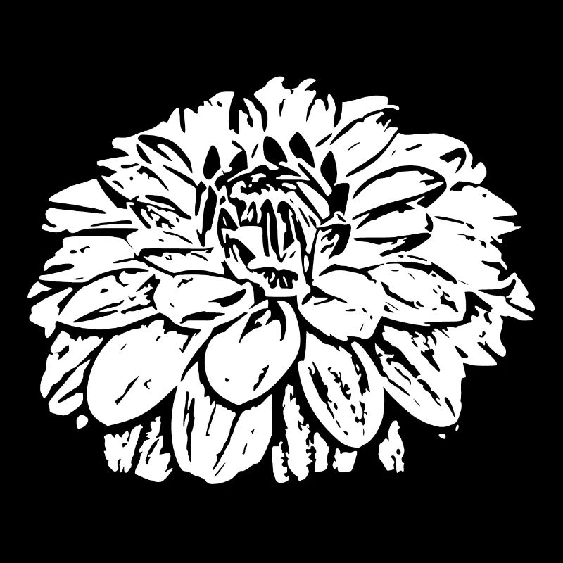 Blume weiß weiße Blumen Geschenk Muttertag Mutter