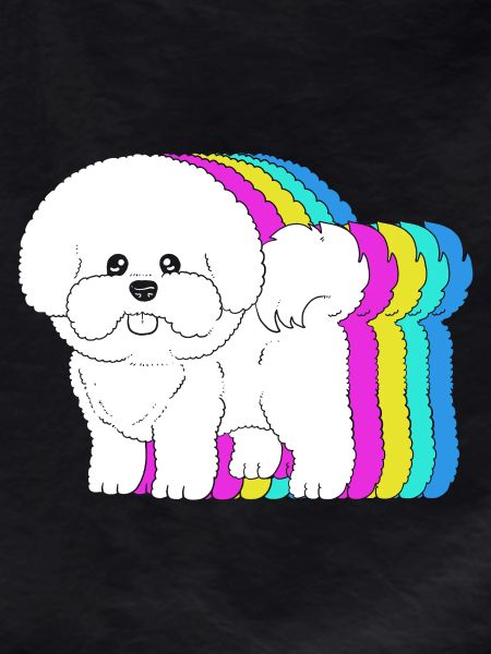 Bichon Frise