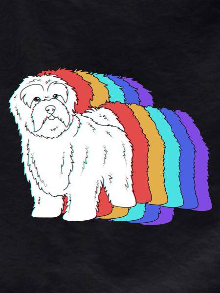 Havanese