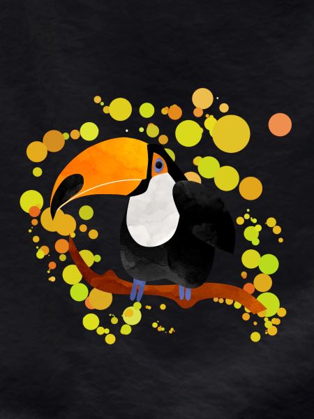 Toucan