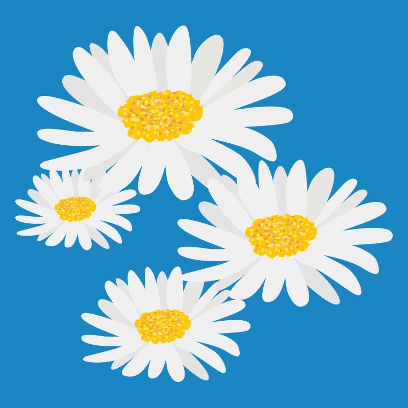Blume Gänseblümchen