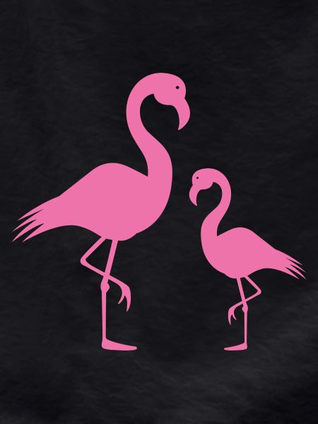 flamingos