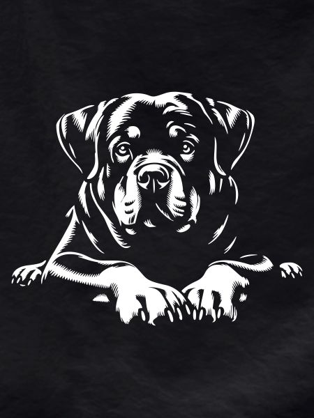 Rottweiler "Black Edition"