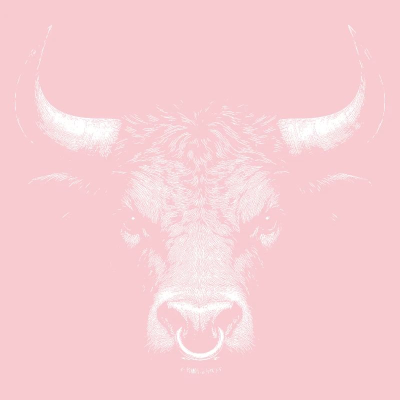 Stier