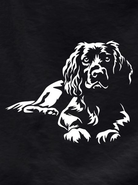 Boykin Spaniel "Black Edition"