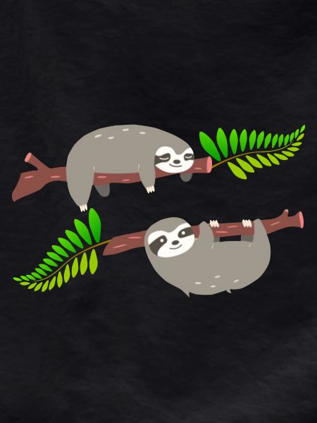 Cute Sloths
