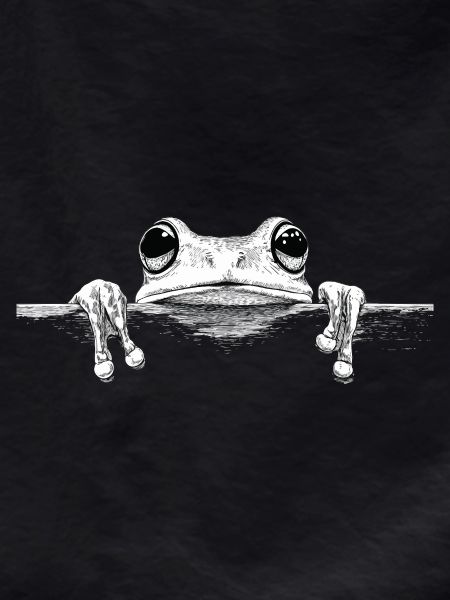 Frosch