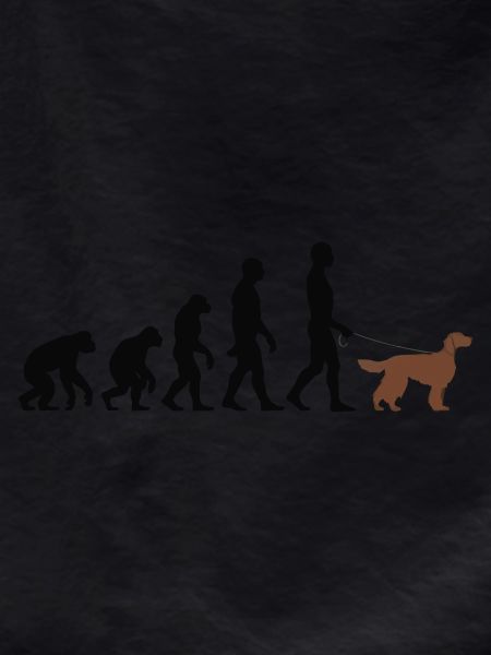 Irish Setter