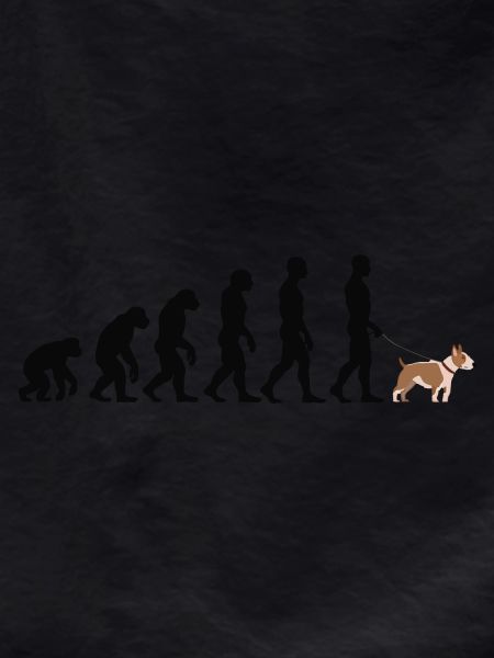 Bull terrier