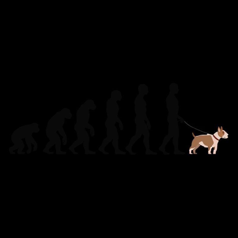 Bullterrier