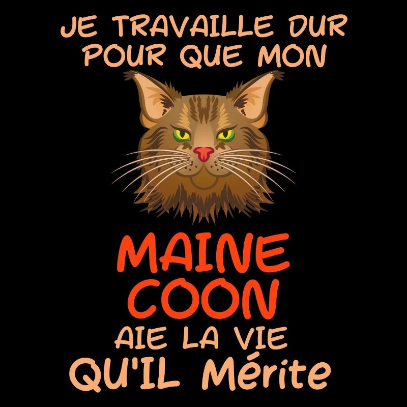 Chat de race maine coon
