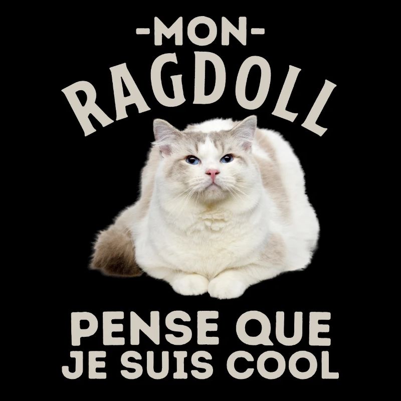 Chat RAGDOLL