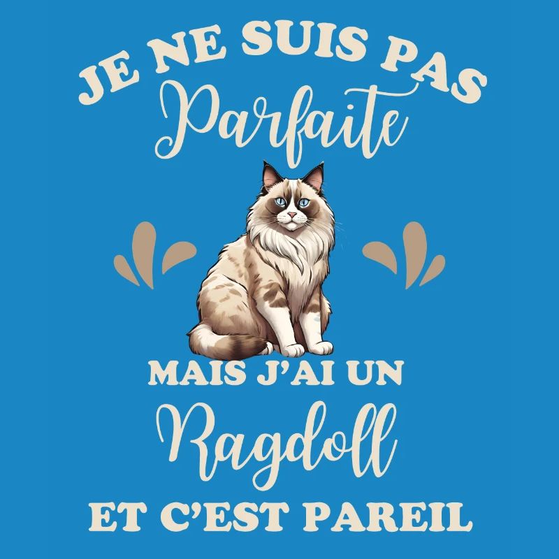 Chat doux Ragdoll