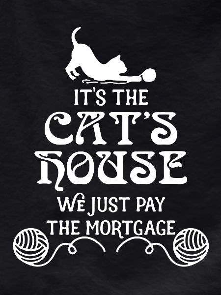 It's The Cat's House