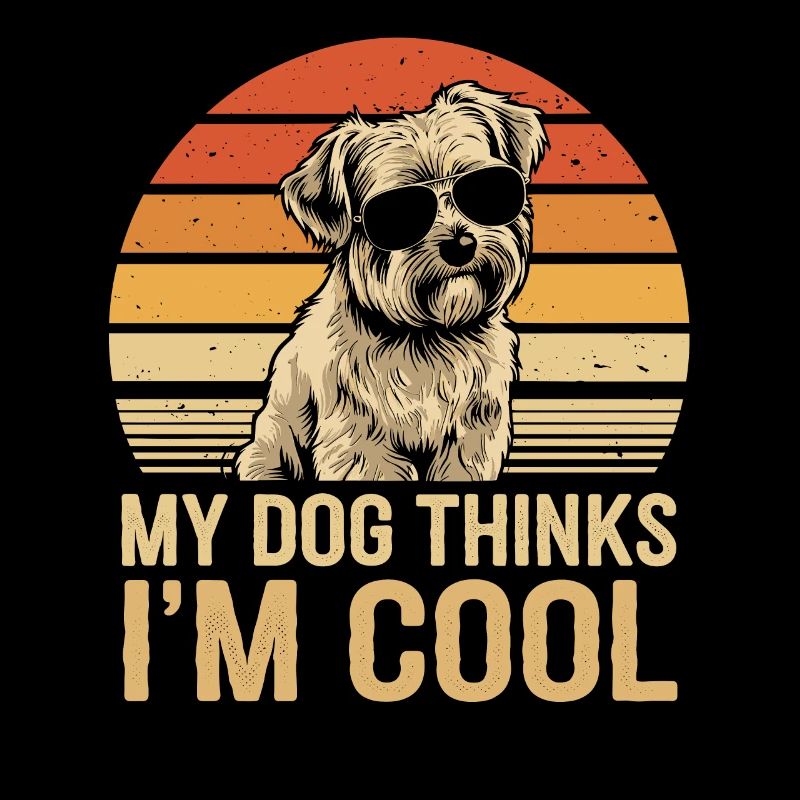 Malteser Hund Mein Hund Denkt Das Ich Cool Bin