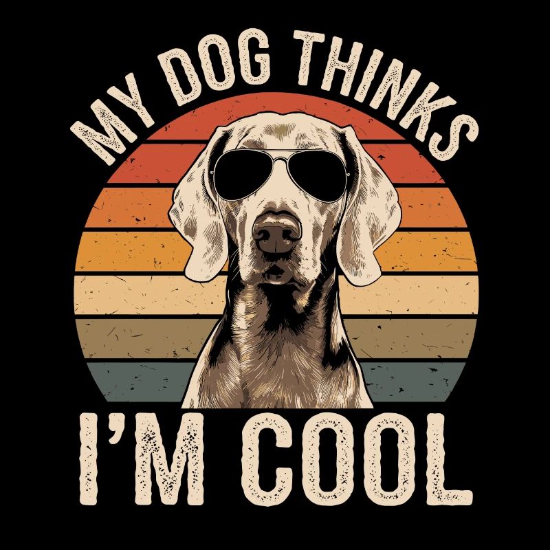 Braque de Weimar Mon chien pense que je suis cool