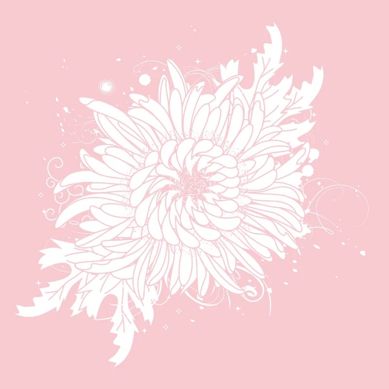 white chrysanthemum