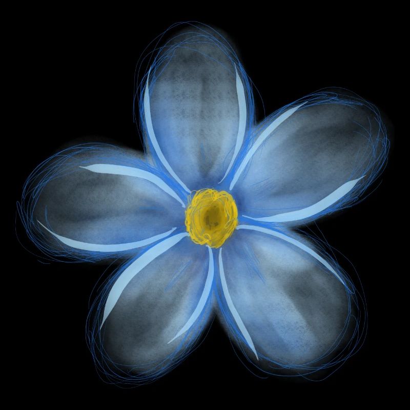 Myosotis