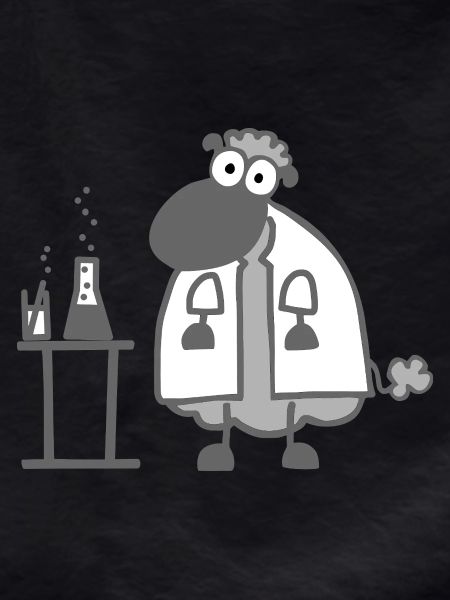 Laboratory sheep